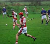 The-GAA-Sports__element57